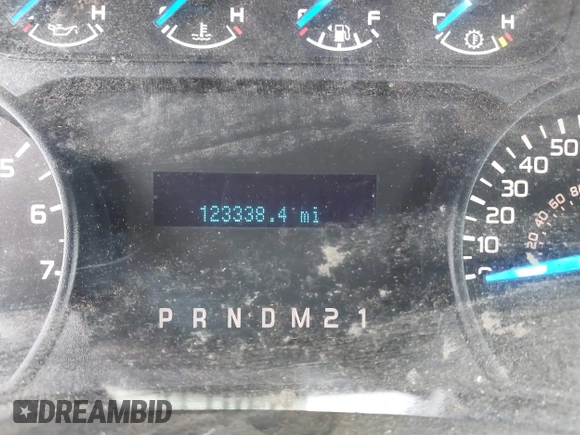 2013 Ford F-150 XL with VIN 1FTMF1CM6DKG07048, listed as a IAAI auction lot 42019058 with 123,338 mi miles and . Bid and sale history available at carsss.com. Image 7.