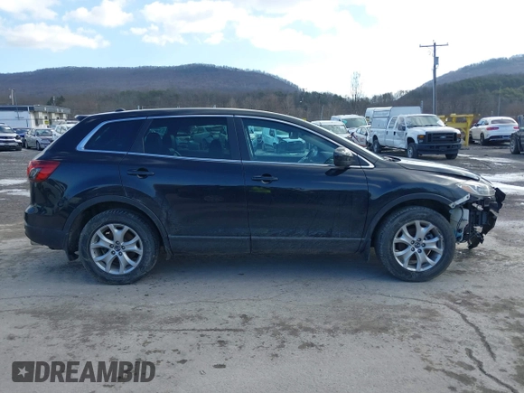 2014 Mazda CX-9 Touring with VIN JM3TB3CV5E0446563, listed as a IAAI auction lot 41524521 with 99,374 mi miles. Bid and sale history available at carsss.com. Image 14.