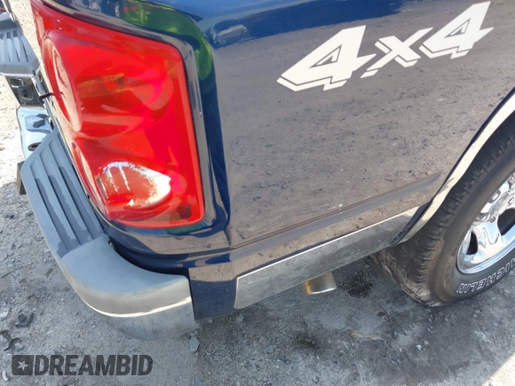 2005 Dodge Dakota SLT with VIN 1D7HW48N05S113487, listed as a IAAI auction lot 42029813 with 229,025 mi miles. Bid and sale history available at carsss.com. Image 19.