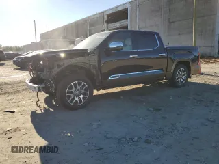 2022 Toyota Tundra 1794 Edition with VIN 5TFMA5DB6NX009193, listed as a Copart auction lot 74429534 with 49,570 mi miles and Salvage title. Bid and sale history available at DreamBid. Image 1.