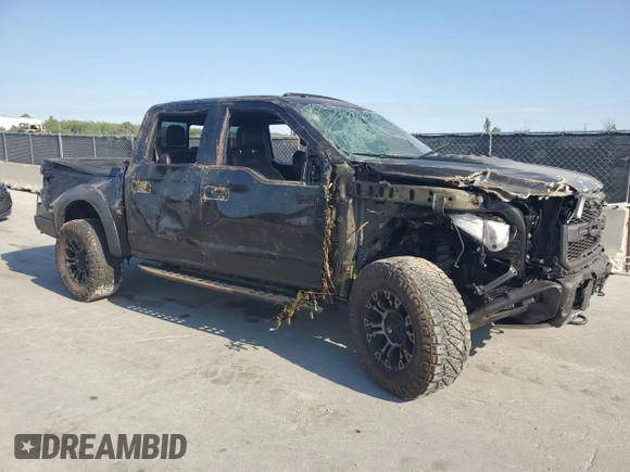 2017 Ford F-150 Raptor with VIN 1FTFW1RG2HFC18383, listed as a Copart auction lot 53520625 with 119,522 mi miles and Clean Title. Bid and sale history available at DreamBid. Image 4.