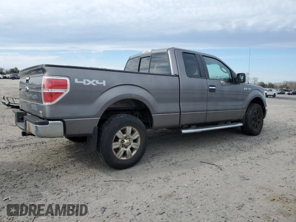 2010 Ford F-150 XL with VIN 1FTFX1EV0AFD15024, listed as a Copart auction lot 45851565 with 164,712 mi miles and Salvage Title. Bid and sale history available at DreamBid. Image 3.