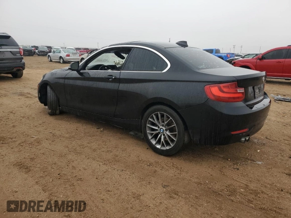 2014 BMW 2 Series 228i with VIN WBA1F5C5XEVV99178, listed as a Copart auction lot 87931195 with Not Provided miles and Salvage Title. Bid and sale history available at carsss.com. Image 2.