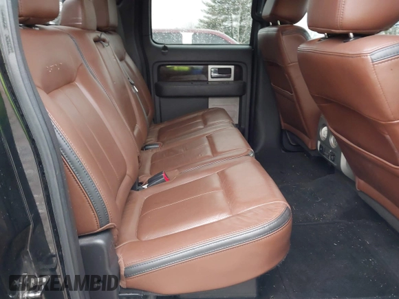 2013 Ford F-150 XL with VIN 1FTFW1ET5DFA49957, listed as a IAAI auction lot 41734397 with 265,121 mi miles. Bid and sale history available at carsss.com. Image 8.