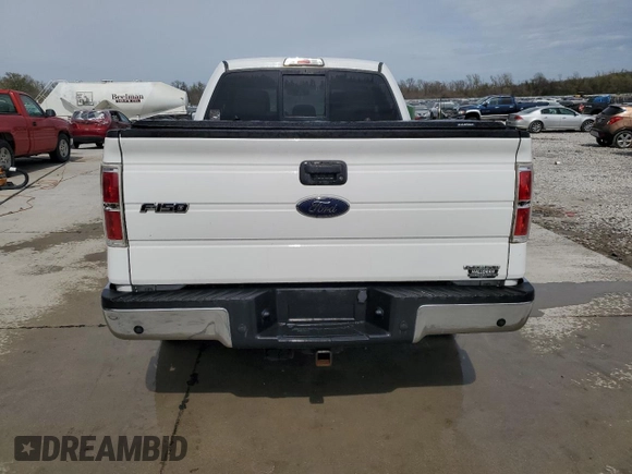 2013 Ford F-150 XL with VIN 1FTEX1CM4DFC81650, listed as a Copart auction lot 52021375 with 172,413 mi miles and Salvage title. Bid and sale history available at DreamBid. Image 6.