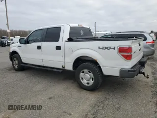 2009 Ford F-150 XL z VIN 1FTPW14V89FB04772, wystawiony jako Copart lot #48988685 z przebiegiem 259 521 mil mil oraz Szkoda całkowita • Salvage title. Historia ofert i sprzedaży dostępna na DreamBid. Obrazek 2.