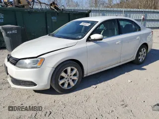 2013 Volkswagen Jetta SE with VIN 3VWDP7AJ9DM286833, listed as a Copart auction lot 48460615 with 132,035 mi miles and Salvage title. Bid and sale history available at DreamBid. Image 1.