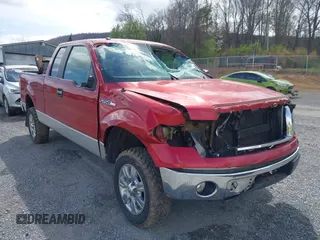 2010 Ford F-150 XL with VIN 1FTEX1C83AFC15315, listed as a IAAI auction lot 41916777 with 196,131 mi miles. Bid and sale history available at carsss.com. Image 6.