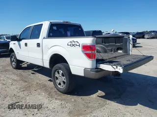2013 Ford F-150 XL with VIN 1FTFW1ET7DKF33281, listed as a IAAI auction lot 41740736 with 205,677 mi miles. Bid and sale history available at carsss.com. Image 3.