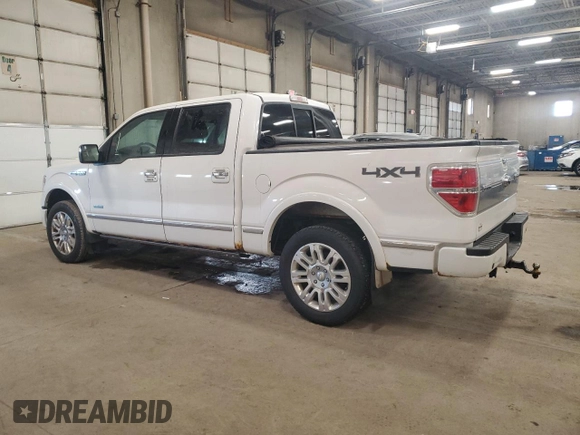 2013 Ford F-150 XL with VIN 1FTFW1ETXDFA18574, listed as a Copart auction lot 46163535 with 221,320 mi miles and Clean title. Bid and sale history available at DreamBid. Image 2.