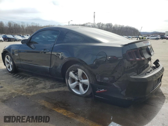 2013 Ford Mustang GT with VIN 1ZVBP8CF1D5256169, listed as a Copart auction lot 50200145 with 70,323 mi miles and Salvage title. Bid and sale history available at DreamBid. Image 2.