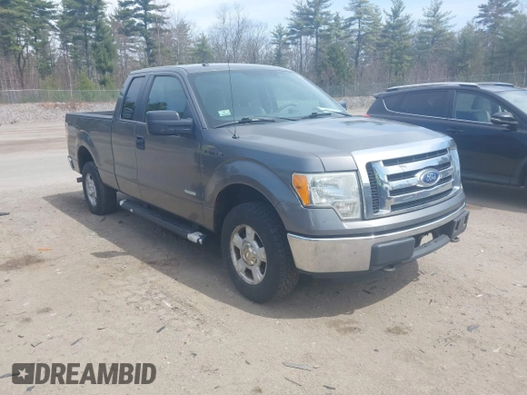 2011 Ford F-150 XL with VIN 1FTFX1ET5BFB49485, listed as a IAAI auction lot 42074270 with 206,090 mi miles. Bid and sale history available at carsss.com. Image 1.