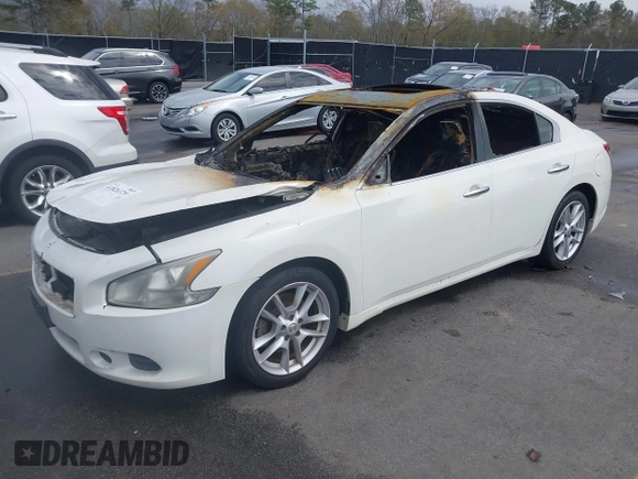 2009 Nissan Maxima SV with VIN 1N4AA51E29C824866, listed as a IAAI auction lot 41826379 with Not Provided miles and . Bid and sale history available at DreamBid. Image 2.