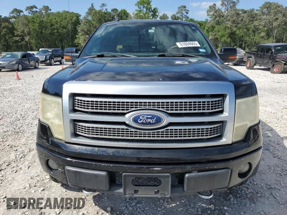 2009 Ford F-150 XL with VIN 1FTPW14V89FB31129, listed as a Copart auction lot 51804665 with 227,851 mi miles and Clean title. Bid and sale history available at DreamBid. Image 5.