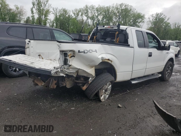 2014 Ford F-150 XL with VIN 1FTEX1EM7EFB23883, listed as a Copart auction lot 55429125 with 74,002 mi miles and Salvage title. Bid and sale history available at DreamBid. Image 3.