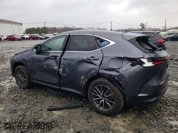 2024 Lexus NX with VIN 2T2AGCEZ4RC053310, listed as a Copart auction lot 81652604 with 10,328 mi miles and Salvage Title. Bid and sale history available at carsss.com. Image 2.