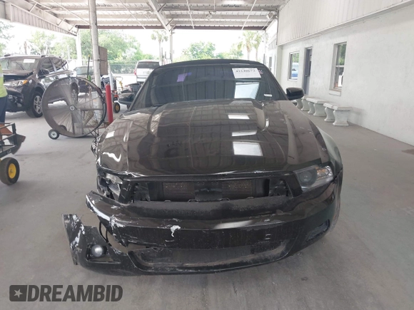 2012 Ford Mustang V6 with VIN 1ZVBP8EMXC5204579, listed as a IAAI auction lot 42240673 with 177,917 mi miles and . Bid and sale history available at DreamBid. Image 12.