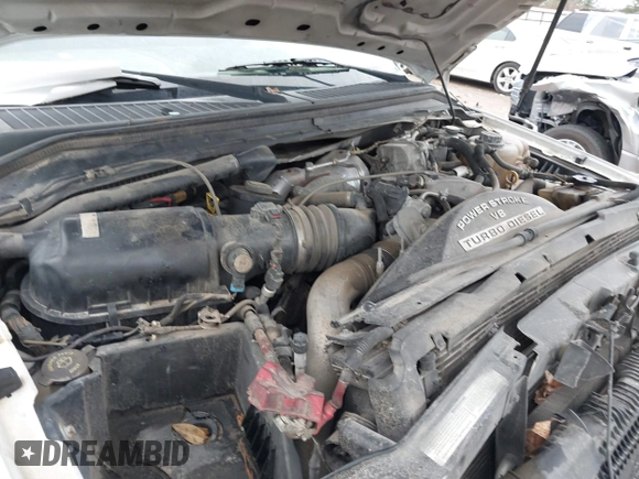 2008 Ford F-250 with VIN 1FTSF20R08EE40803, listed as a IAAI auction lot 41306261 with 215,526 mi miles and . Bid and sale history available at DreamBid. Image 18.