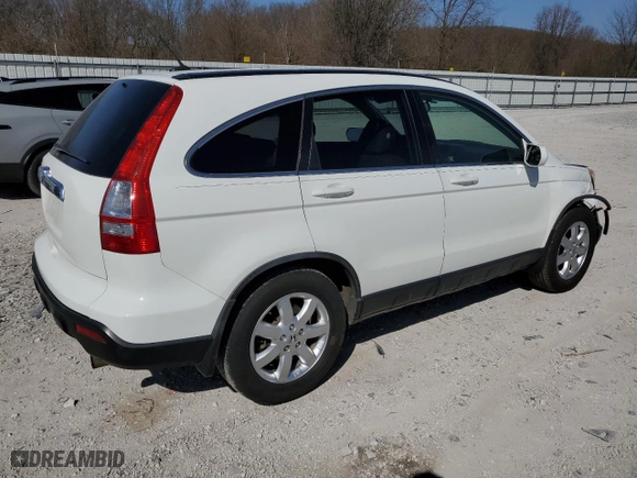 2008 Honda CR-V EX-L with VIN JHLRE48738C044282, listed as a Copart auction lot 48811825 with 182,840 mi miles and Salvage Title. Bid and sale history available at carsss.com. Image 3.