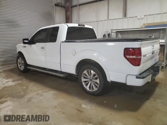 2010 Ford F-150 XL with VIN 1FTFX1CV7AKB71384, listed as a Copart auction lot 82047394 with 149,606 mi miles and Salvage Title. Bid and sale history available at carsss.com. Image 2.