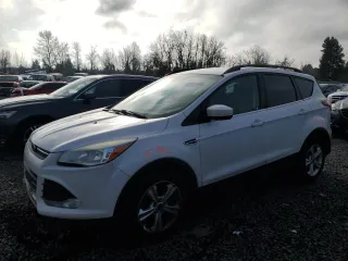 2014 Ford Escape SE with VIN 1FMCU0GX5EUB63677, listed as a Copart auction lot 88471095 with Not Provided miles and Salvage Title. Bid and sale history available at carsss.com. Image 1.