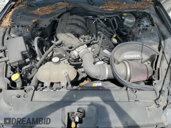 2015 Ford Mustang V6 с VIN 1FA6P8AM1F5329135, выставлен на аукционе Copart как лот 60294315 с пробегом 120 319 миль миль и Списание • Salvage title. История ставок и продаж доступна на DreamBid. Изображение 11.