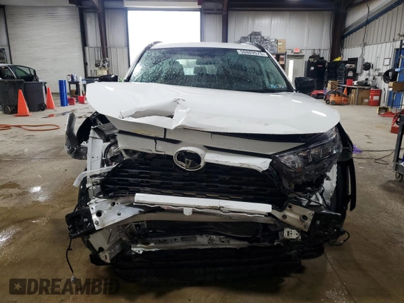 2019 Toyota RAV4 LE with VIN 2T3F1RFV7KC021068, listed as a Copart auction lot 50889575 with 34,749 mi miles and Salvage Title. Bid and sale history available at DreamBid. Image 5.