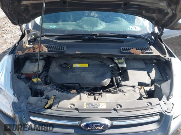 2016 Ford Escape SE with VIN 1FMCU9GX5GUA06660, listed as a IAAI auction lot 42043031 with 87,719 mi miles. Bid and sale history available at carsss.com. Image 10.