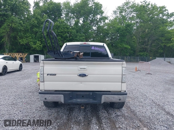 2009 Ford F-150 XL с VIN 1FTPW14VX9KB41670, выставлен на аукционе IAAI как лот 42246163 с пробегом 214 499 миль миль и . История ставок и продаж доступна на DreamBid. Изображение 17.