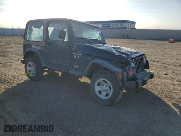 2002 Jeep Wrangler X with VIN 1J4FA39S42P750146, listed as a Copart auction lot 44587995 with 230,334 mi miles and Salvage Title. Bid and sale history available at carsss.com. Image 4.