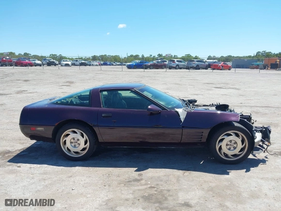 1994 Chevrolet Corvette with VIN 1G1YY22P5R5106289, listed as a IAAI auction lot 42048667 with 1 mi miles. Bid and sale history available at carsss.com. Image 14.