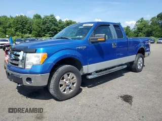 2009 Ford F-150 XL with VIN 1FTPX14V69FA19653, listed as a Copart auction lot 65368335 with 177,422 mi miles and Clean title. Bid and sale history available at DreamBid. Image 1.