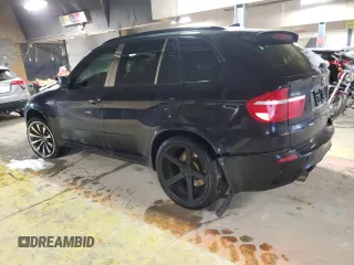2010 BMW X5 M with VIN 5YMGY0C58ALK25854, listed as a Copart auction lot 87815685 with 0 mi miles and Salvage Title. Bid and sale history available at carsss.com. Image 2.