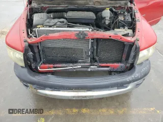 2002 Dodge 1500 z VIN 1D7HA16N52J251950, wystawiony jako Copart lot #44083565 z przebiegiem 232 060 mil mil oraz Czysty tytuł • Clean title. Historia ofert i sprzedaży dostępna na DreamBid. Obrazek 12.