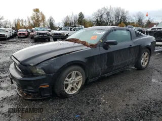 2013 Ford Mustang V6 with VIN 1ZVBP8AM9D5280169, listed as a Copart auction lot 81176564 with 155,330 mi miles and Salvage title. Bid and sale history available at DreamBid. Image 1.