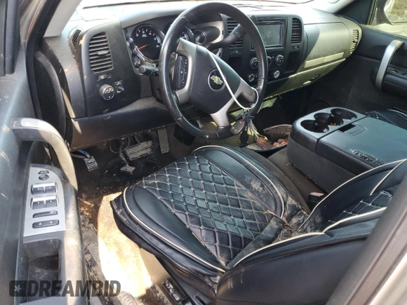 2009 Chevrolet Silverado 1500 LT with VIN 3GCEC23J49G166172, listed as a Copart auction lot 46157755 with 0 mi miles and Salvage Title. Bid and sale history available at carsss.com. Image 8.