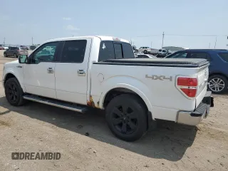 2013 Ford F-150 XL with VIN 1FTFW1EF6DKF53449, listed as a Copart auction lot 59697185 with 166,302 mi miles and Salvage title. Bid and sale history available at DreamBid. Image 2.