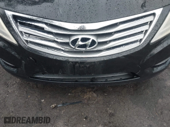 2014 Hyundai Azera Limited with VIN KMHFH4JG3EA376873, listed as a IAAI auction lot 41530698 with 94,263 mi miles and . Bid and sale history available at DreamBid. Image 6.