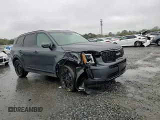 2022 Kia Telluride EX with VIN 5XYP3DHC2NG255732, listed as a Copart auction lot 52604795 with 32,117 mi miles and Salvage title. Bid and sale history available at DreamBid. Image 11.