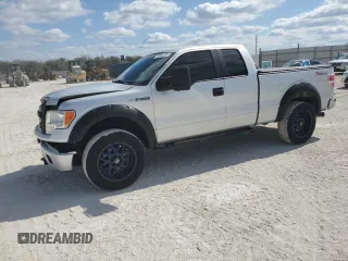 2013 Ford F-150 XL with VIN 1FTFX1EF9DFD95341, listed as a Copart auction lot 44060195 with 180,082 mi miles and Salvage Title. Bid and sale history available at carsss.com. Image 1.
