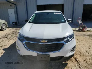 2019 Chevrolet Equinox LS with VIN 3GNAXHEV8KS659787, listed as a Copart auction lot 49732995 with 87,834 mi miles and Clean Title. Bid and sale history available at DreamBid. Image 5.
