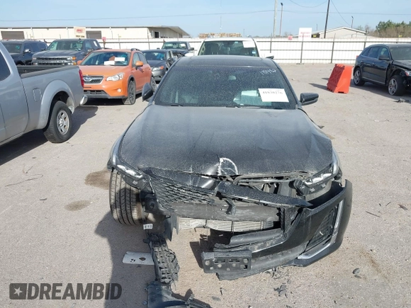 2023 Cadillac CT5 Luxury with VIN 1G6DW5RK4P0156637, listed as a IAAI auction lot 41838276 with 49,489 mi miles and . Bid and sale history available at DreamBid. Image 11.