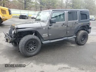 2018 Jeep Wrangler JK Unlimited Sport S with VIN 1C4HJWDG2JL839433, listed as a Copart auction lot 51376545 with 124,012 mi miles and Salvage Title. Bid and sale history available at carsss.com. Image 1.