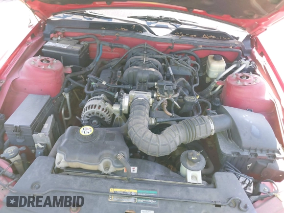 2008 Ford Mustang Deluxe with VIN 1ZVHT84N685189280, listed as a IAAI auction lot 42054118 with Not provided miles and . Bid and sale history available at DreamBid. Image 10.