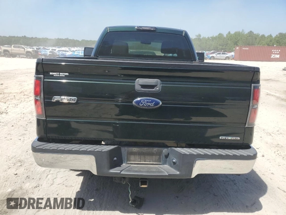 2013 Ford F-150 XL with VIN 1FTMF1CM1DFD63978, listed as a Copart auction lot 52976295 with 173,007 mi miles and Salvage title. Bid and sale history available at DreamBid. Image 6.