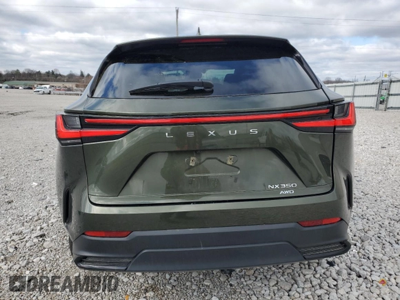 2024 Lexus NX with VIN 2T2AGCEZ0RC053644, listed as a Copart auction lot 49308185 with 21,010 mi miles and Salvage Title. Bid and sale history available at carsss.com. Image 6.