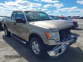 2011 Ford F-150 XL with VIN 1FTFX1EF8BFA32459, listed as a IAAI auction lot 41729155 with 248,084 mi miles and . Bid and sale history available at DreamBid. Image 1.