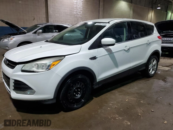 2014 Ford Escape SE with VIN 1FMCU9GX7EUB50417, listed as a Copart auction lot 44676985 with 123,539 mi miles and Clean Title. Bid and sale history available at DreamBid. Image 1.