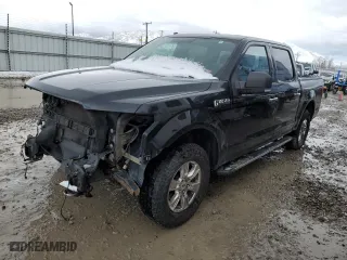 2016 Ford F-150 XLT with VIN 1FTEW1EF9GFC77339, listed as a Copart auction lot 49660245 with 101,062 mi miles and Salvage Title. Bid and sale history available at carsss.com. Image 1.