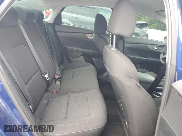 2019 Kia Forte LXS with VIN 3KPF24AD3KE105672, listed as a Copart auction lot 61231485 with 123,893 mi miles and Salvage title. Bid and sale history available at DreamBid. Image 10.